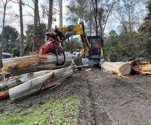 Storm Damage Tree Services - Spidermann All Terrain Solutions