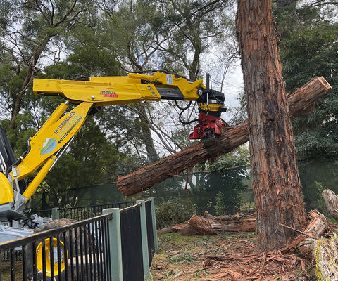 Tree Services - Spidermann All Terrain Solutions
